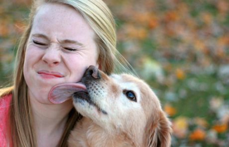 נוכחות כלב בבית בגיל שלושה חודשים  מגנה מפני אלרגיה למזון (CME)