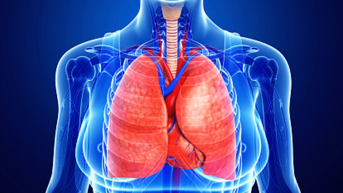 דלקת ריאות הנרכשת בקהילה- סקירת עדכון מ-NEJM  (שאלת CME)