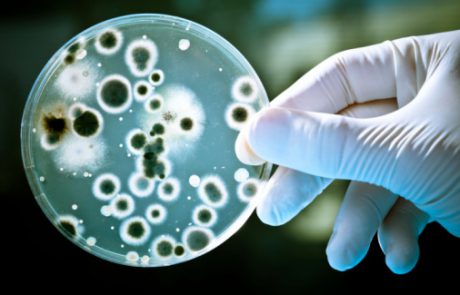 משלנו- על בדיקה חדשה האמורה לעזור להבחין בין זיהום חיידקי לזיהום ווירלי.