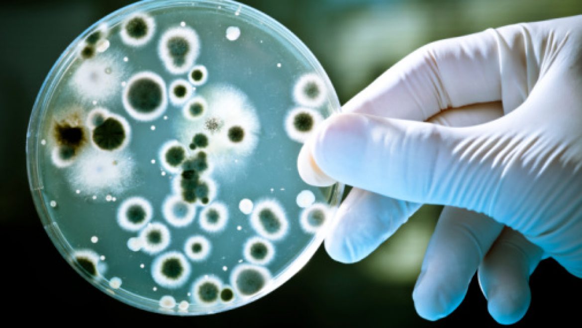 משלנו- על בדיקה חדשה האמורה לעזור להבחין בין זיהום חיידקי לזיהום ווירלי.