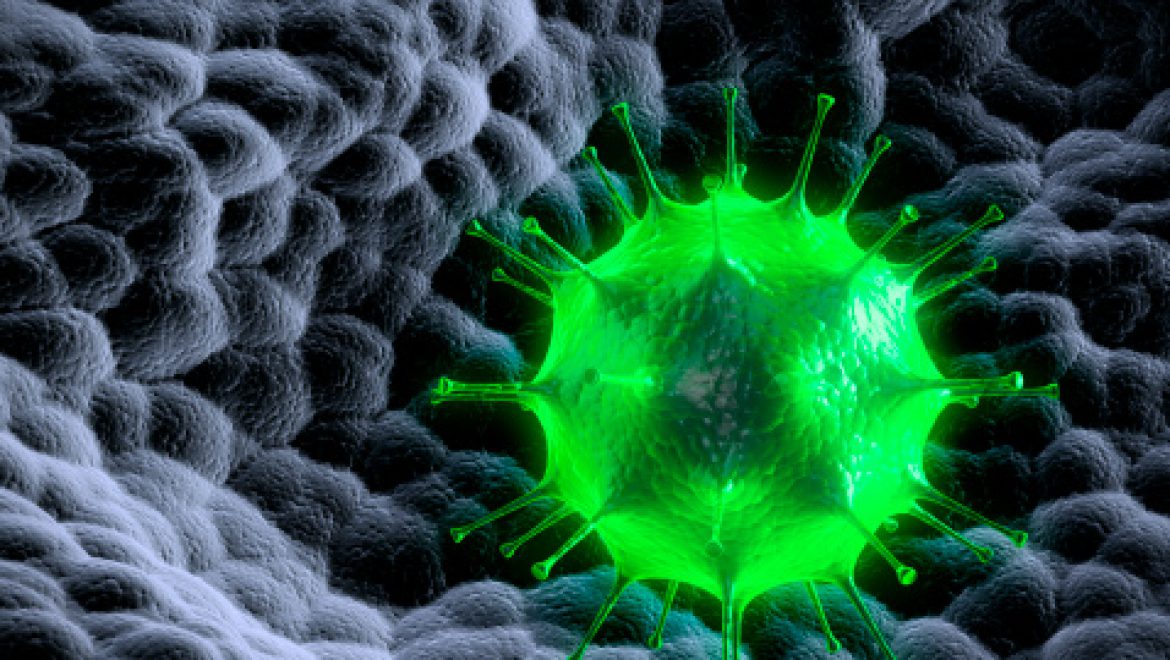 הסקירה החודשית- המחלות הנובעות מזיהום ב  enterovirus  חלק ב' (CME).
