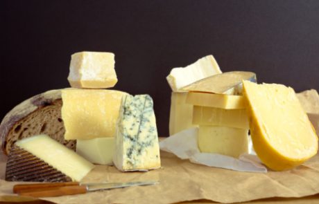 ההשפעה המגנה של מתן גבינה בגיל 18 חודשים על הופעת מחלות אלרגיות עד גיל שש (CME).