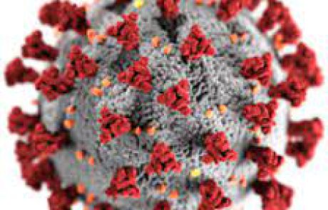 תוצאה בלתי צפויה מצעדי מניעת התפשטות של מחלת הקורונה-ווירוס: ירידה במספר מקרי מחלת קוואסאקי -Kawasaki disease (שאלת CME)